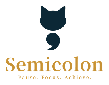 세미콜론 Semicolon