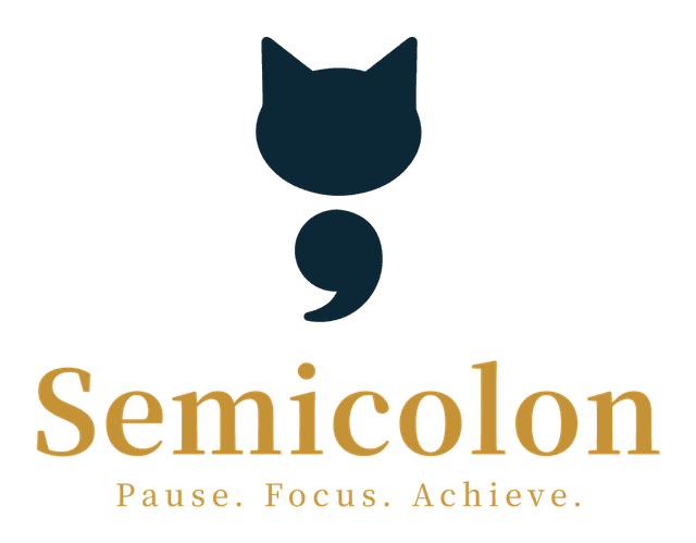 세미콜론 Semicolon